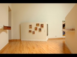 Jacobs S Installation View II